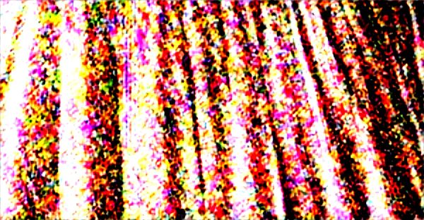 Cri du troll : tout savoir sur cette expression populaire