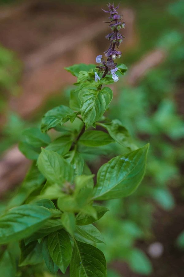 L'impact environnemental des fournisseurs d'accès internet